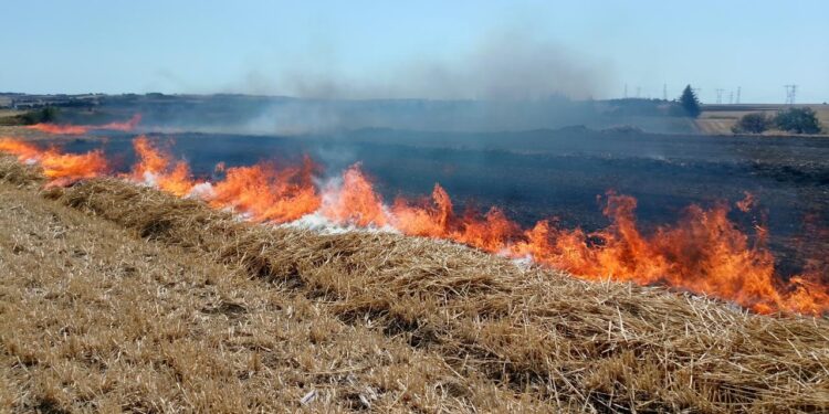 Silivri’de korkutan alevler söndürüldü!