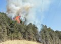 Sinop’ta orman yangını!