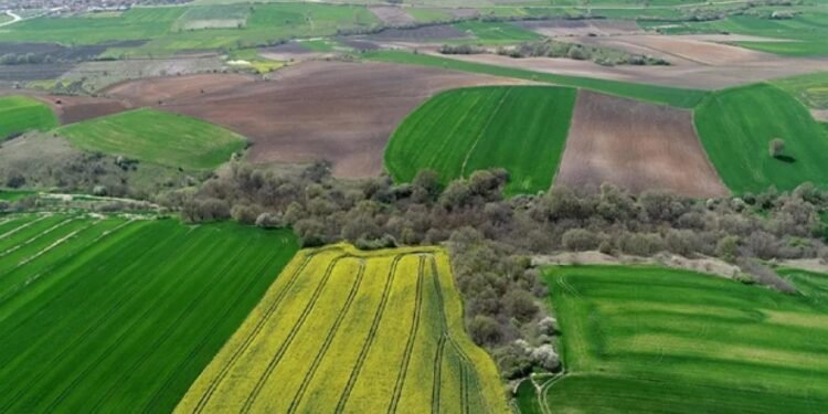 Tapu sahipleri dikkat! 45 gün süresi var: Bakanlık direkt kiraya verebilecek