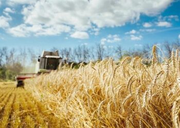 Tarım ÜFE temmuzda aylık bazda yüzde 5,66 azaldı
