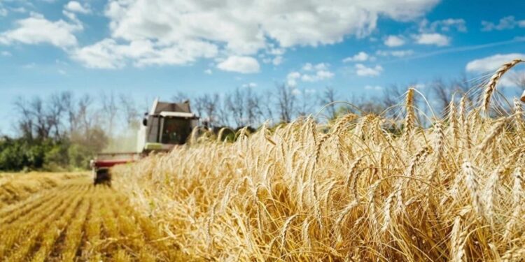 Tarım ÜFE temmuzda aylık bazda yüzde 5,66 azaldı