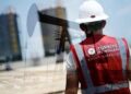 TPAO’nun Diyarbakır ve Mardin’deki sahası için kamulaştırma kararı
