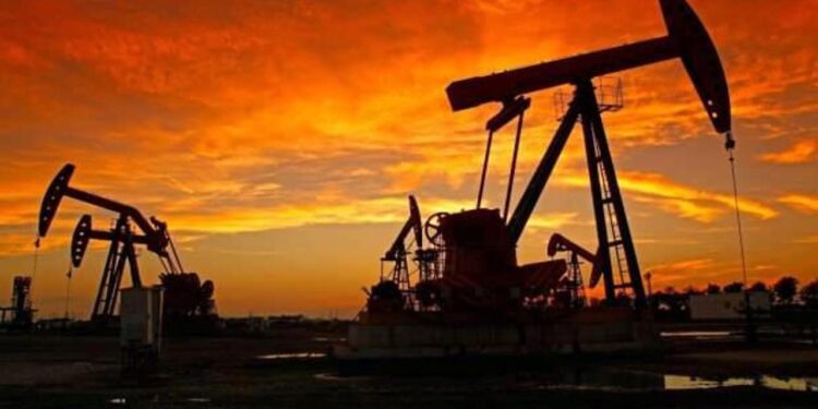 Türkiye’ye petrol, doğal gaz ve madencilik çağrısı! Trilyon dolarlık fırsat