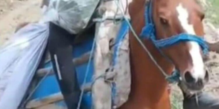 14 yaşındaki çocuğun acı ölümü: Av tüfeğiyle oynuyordu!