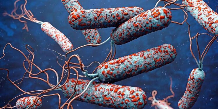 31 ülkede salgın alarmı! DSÖ’den uyarı: Risk çok yüksek