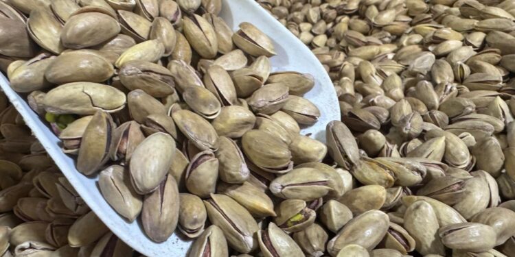 Bakanlıktan fıstık sektörüne denetleme