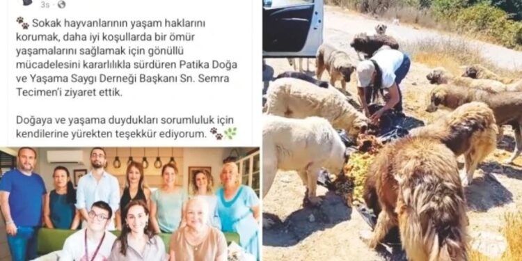 Beykoz’da vekil başkan mama lobisini ziyaret etti: Tepki geldi