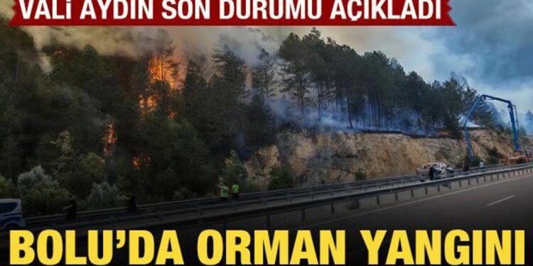 Bolu’da orman yangını kısmen kontrol altına alındı