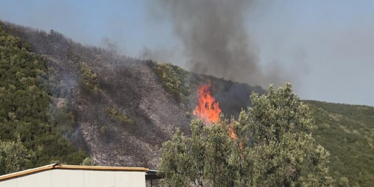 Bursa’da orman yangını soruşturmasında 1 gözaltı