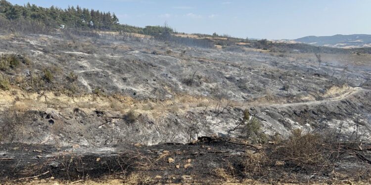 Çanakkale orman yangını kontrol altında