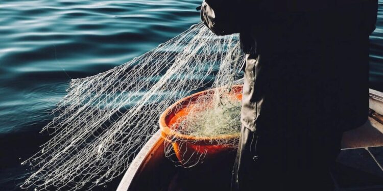 Denizlerde rekor sıcaklık! Av sezonu etkileniyor