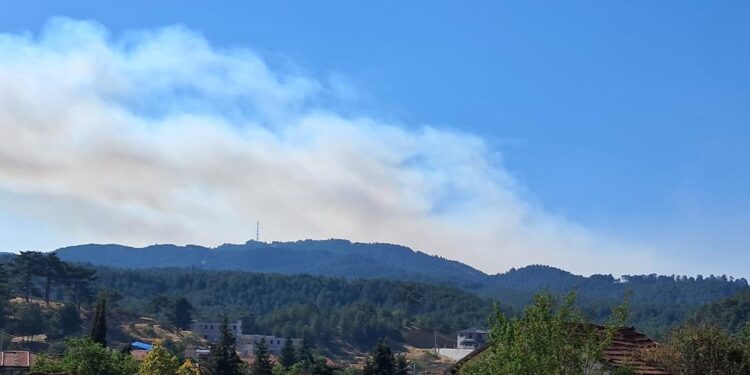Denizli’de dün çıkan orman yangını sürüyor