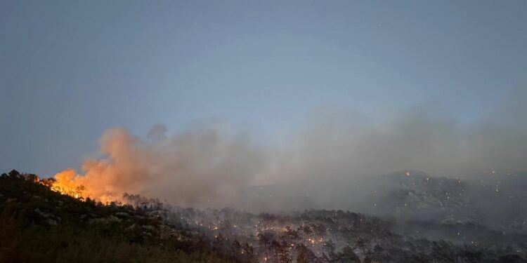 Denizli’deki orman yangını kontrol altına alındı