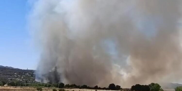 Diyarbakır’da 4 noktada aynı anda yangın!