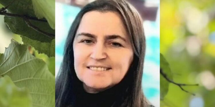 Fındık hasadında acı olay: Arının soktuğu kadın öldü