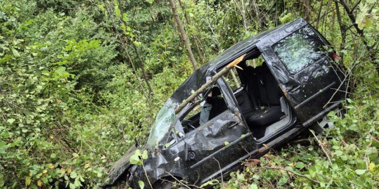 Hafif ticari araç şarampole yuvarlandı; Ölü ve yaralılar var