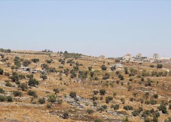 İsrail, Filistinlilere ait 455 dönümlük araziye el koydu