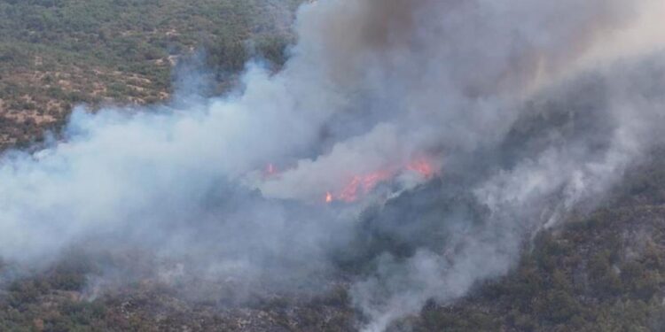 Orman yangını sonrası yabancı uyruklu 5 kişi gözaltına alındı