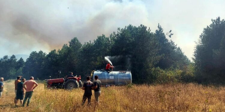 Sakarya’da orman yangını! Çok sayıda ekip sevk edildi