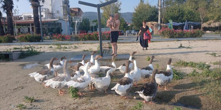 Şartlı tahliye edilmişlerdi: Özgürlüğün tadını sahilde çıkardılar