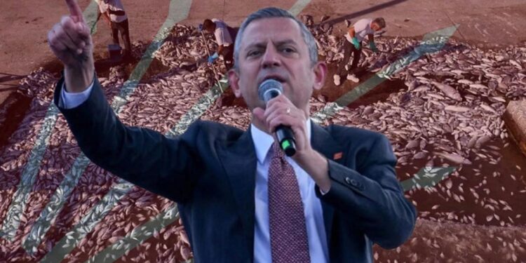 Sinop’taki balıklar için kıyameti koparan Özel, İzmir’deki balık ölümlerine sessiz kaldı