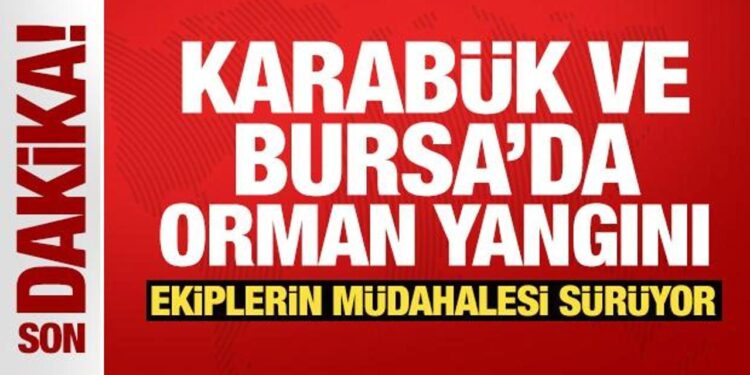 Son Dakika: Karabük ve Bursa’da orman yangını!