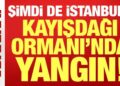 Son dakika: Kayışdağı Ormanı’nda yangın çıktı! Şimdi de İstanbul yanıyor…
