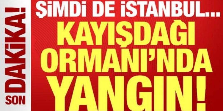 Son dakika: Kayışdağı Ormanı’nda yangın çıktı! Şimdi de İstanbul yanıyor…