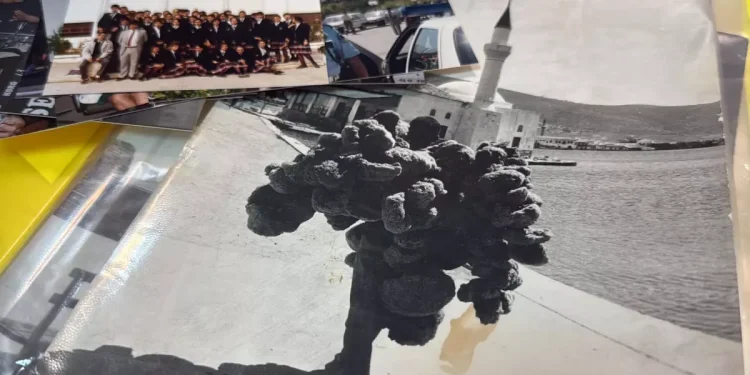 Bodrum’un Arşiv Hazinesi: 500 Bin Karelik Görsel Bellek