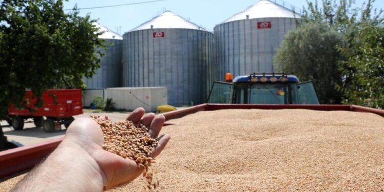 TMO, ürün bedeli olarak yaklaşık 5,2 milyar lirayı üreticilerin hesaplarına yatırdı