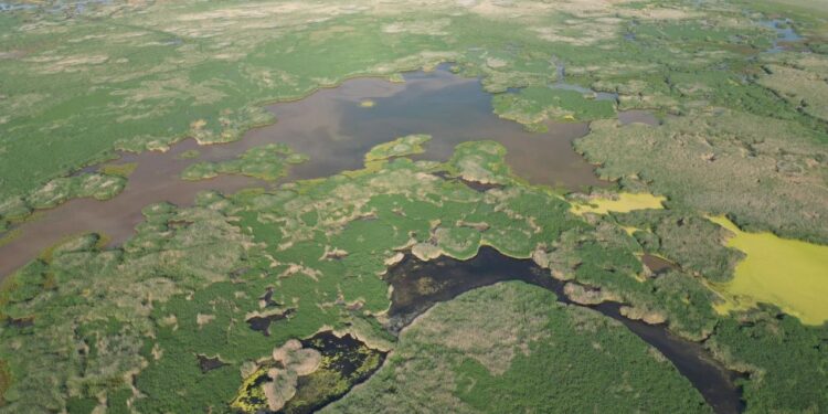 Yangın sonrası valilik harekete geçti: Eber Gölü’ne giriş çıkış yasak!