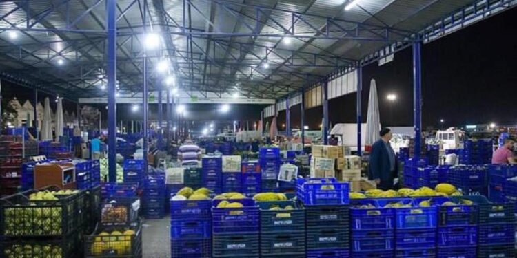 Yıllardır konuşuluyordu! Hal yasası Meclis’e geliyor