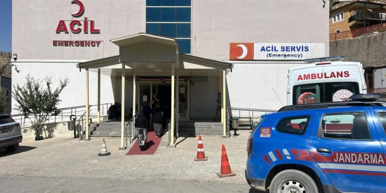 Ağaçtan ceviz topluyordu: Kahreden ölüm!