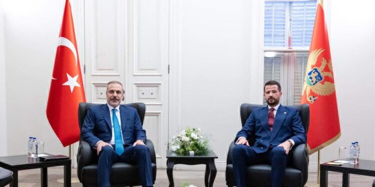 Bakan Fidan, Karadağ Cumhurbaşkanı Milatovic ile görüştü