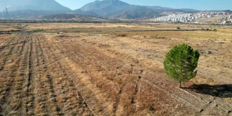 BYD Fabrikasında Belirsizlik: Proje Yılan Hikayesine Döndü
