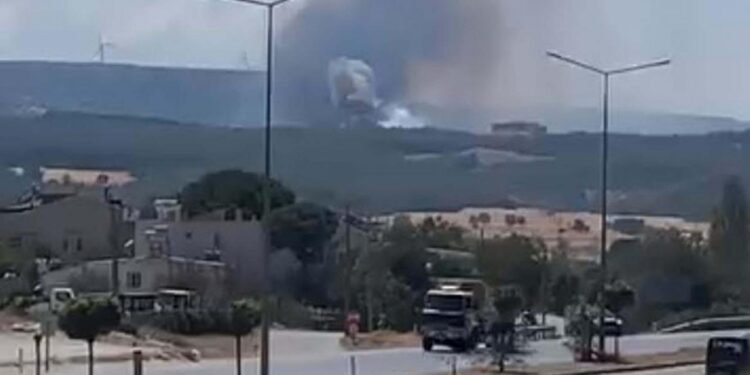 Çanakkale’de orman yangını