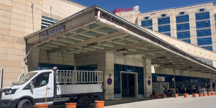 Ceviz toplarken ağaçtan düşüp öldü