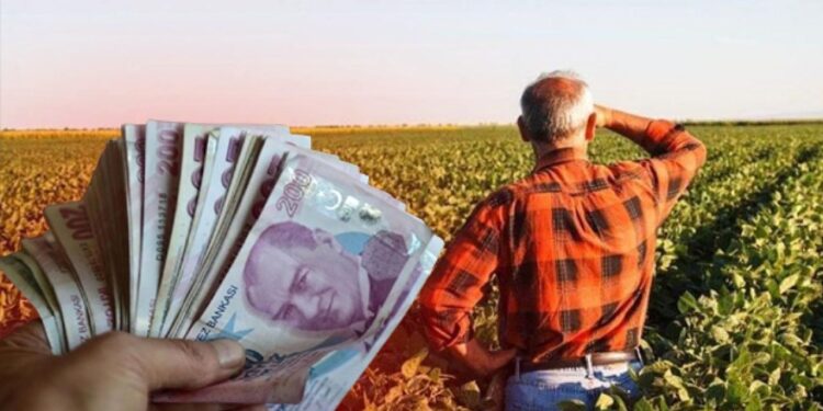 Çiftçilere zirai don desteği! Rakamlar ve şartlar belli oldu: Resmi Gazete’de yayımlandı