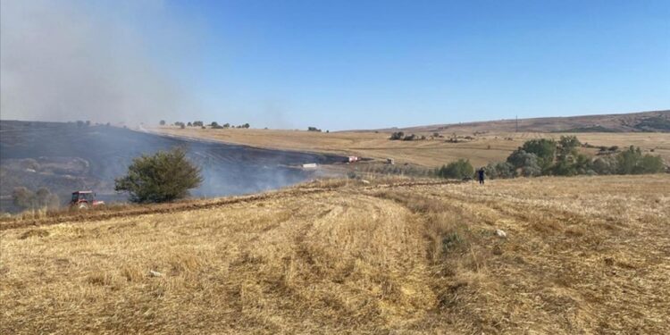 Çorum’da orman yangını