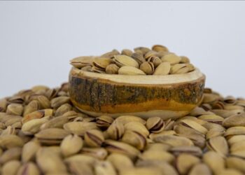 Fıstıktaki artış rekor kırmıştı! İthalat izni sonrası baklava için indirim sinyali geldi