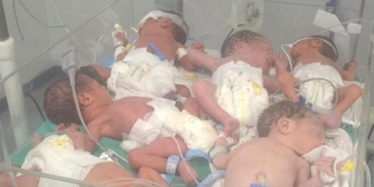 Gazze’de dehşete düşüren görüntü: 1 kuvözde 6 bebek