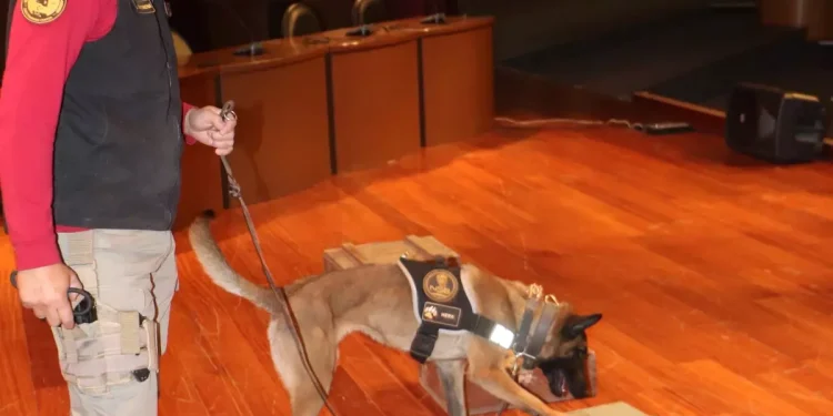 Köpeklerin narkotik gösterisi öğrencileri mest etti!