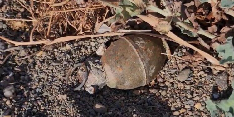 İznik Gölü kıyısında el bombası paniği