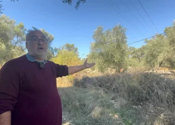 Tarihi Sarnıç Yıkılmak Üzere: Marmaris Alarmda