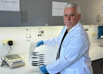 Karadeniz’de hamsi popülasyonu tehlike altında