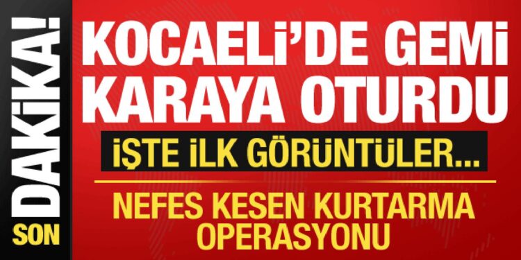 Kocaeli’de kargo gemisi karaya oturdu! 7 personel tahliye edildi