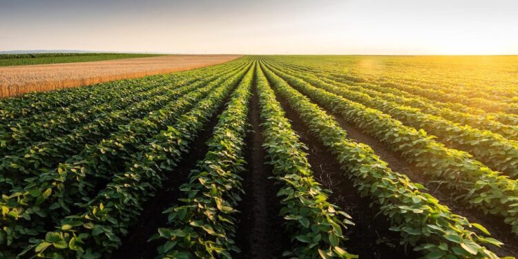 Letven Capital, agro ekonomide Türkiye’yi küresel yatırımın merkezine taşıyor