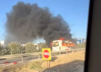 Motosiklet Kazası: Adana’da Sürücü Hayatını Kaybetti