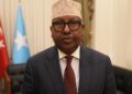 Somali: Türkiye ile büyük projeler hayata geçirmek istiyoruz