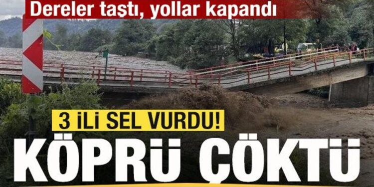Son dakika: 3 ili sel vurdu! Köprü çöktü! Dereler taştı, yollar kapandı
